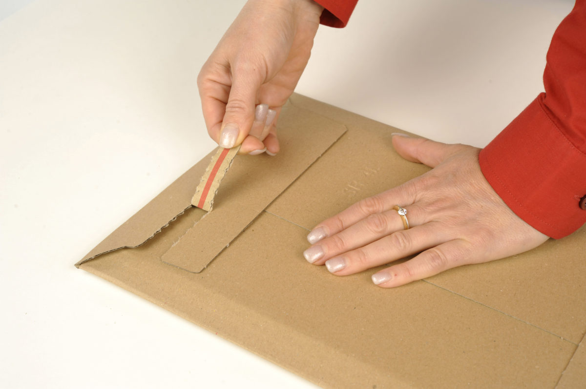 Sac postal à bandes déchirées Wellstar